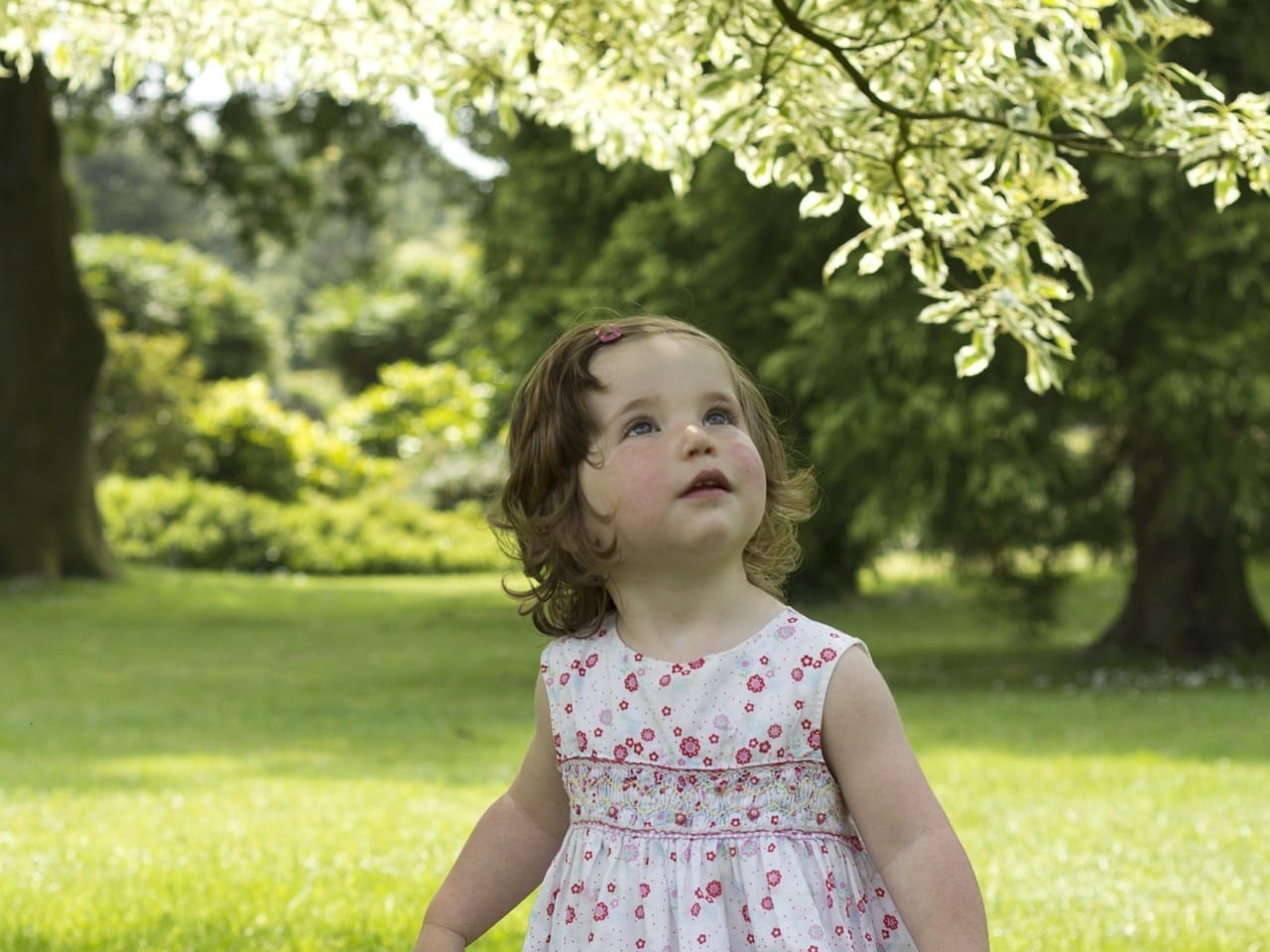 הילדות והאביב