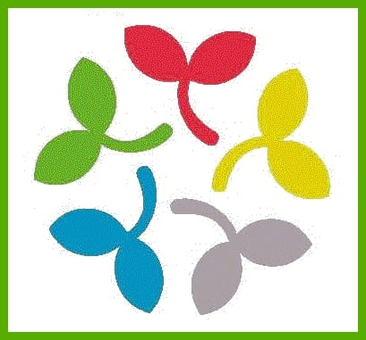 חמישה ניצנים, קורס התמחות ברפואה סינית לילדים ותינוקות