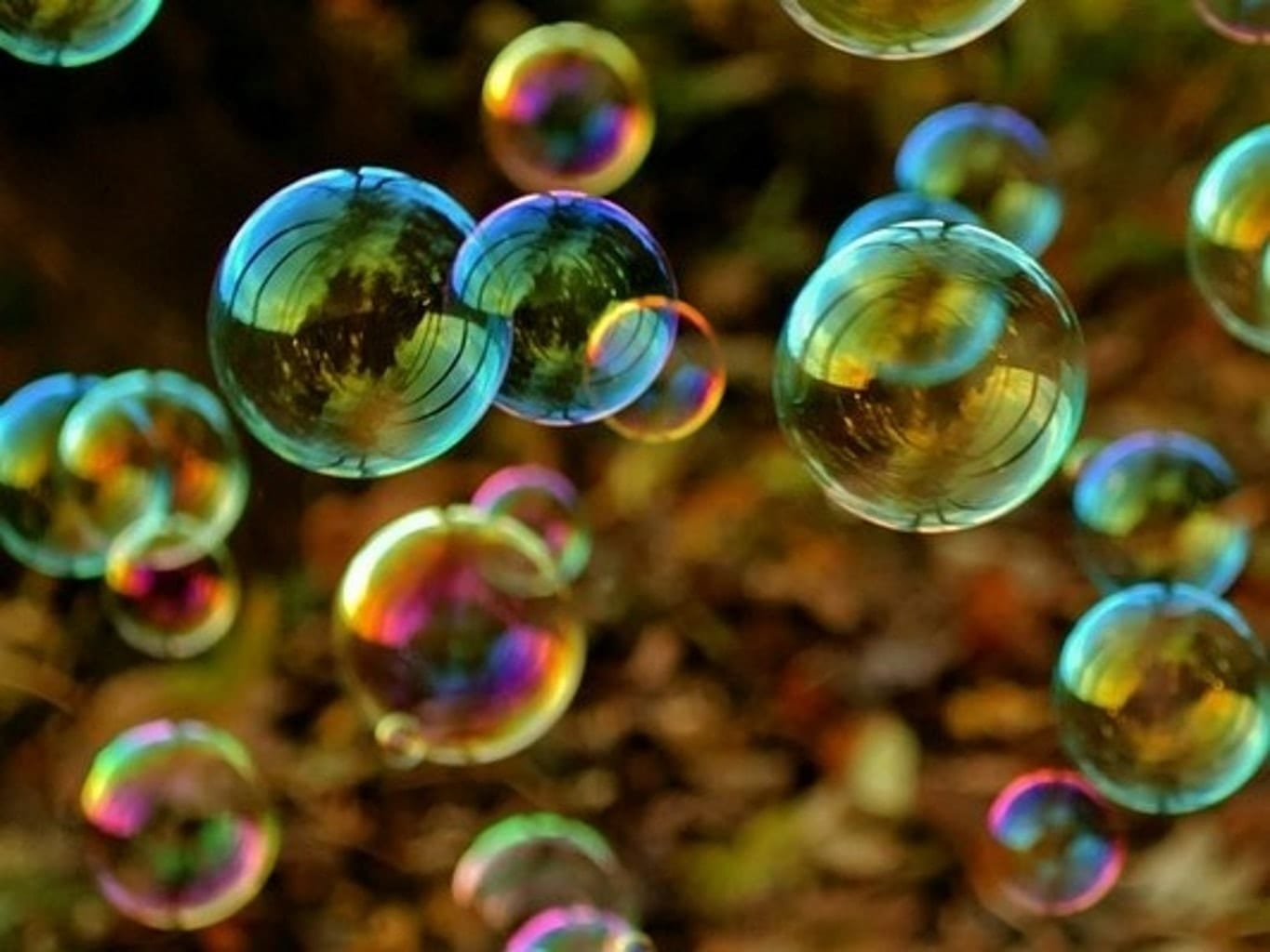 כליות פוליציסטיות